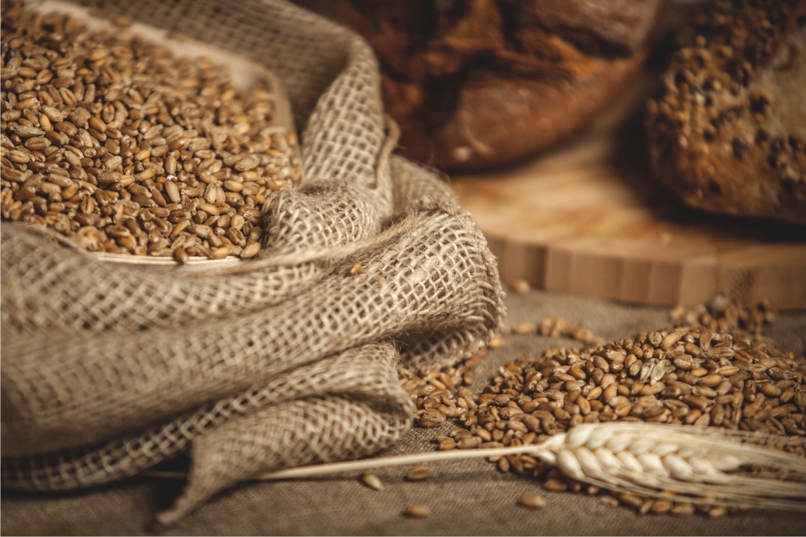 System HACCP w przedsiębiorstwach zajmujących się produkcją i wprowadzeniem do obrotu pasz dla zwierząt