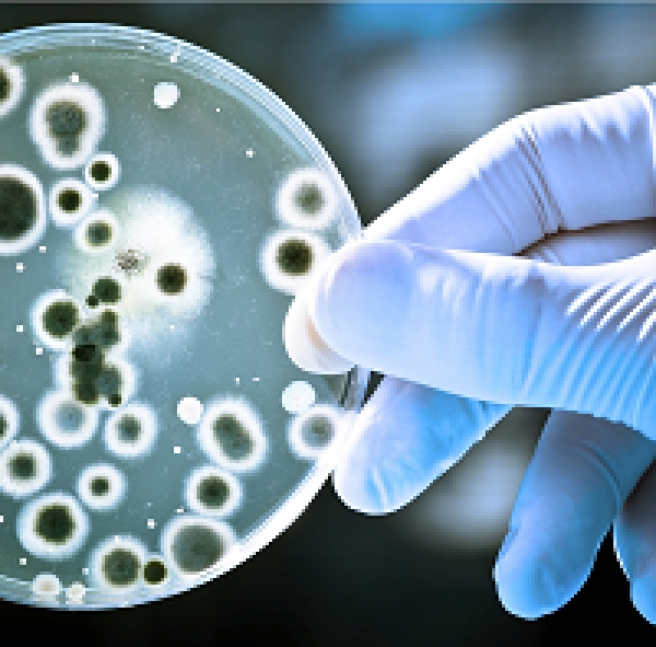 Higiena i czystość w zakładach mięsnych a bezpieczeństwo zdrowotne