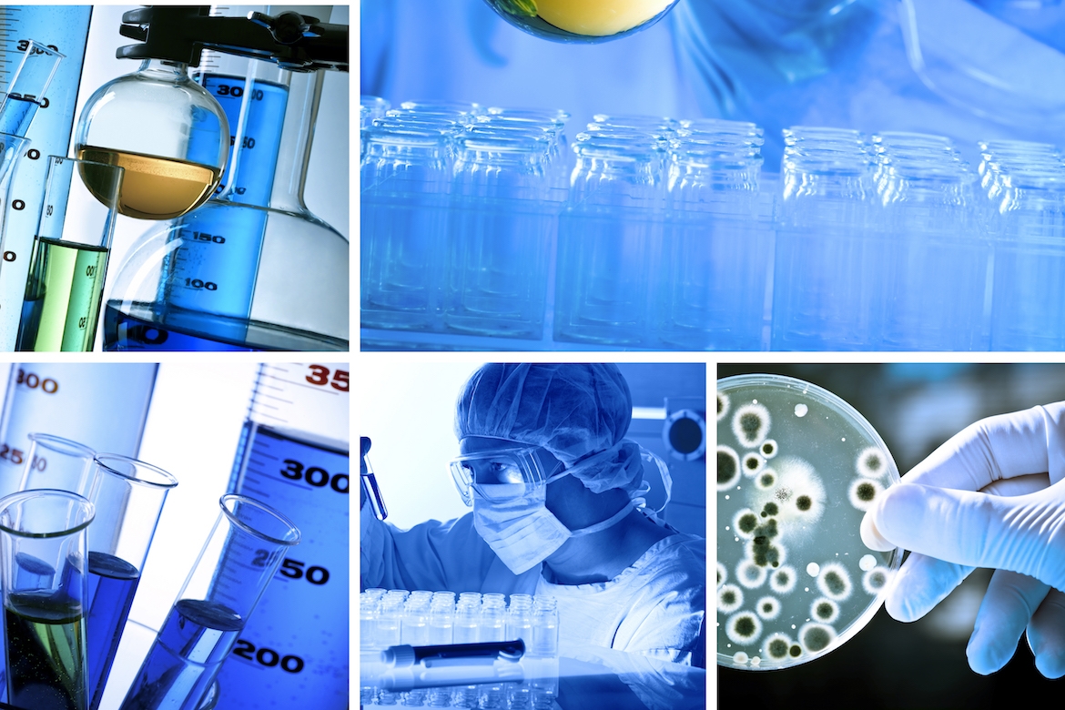 Bezpieczeństwo mikrobiologiczne pasz. Produkcja i zagrożenia związane z obecnością substancji niedozwolonych i niepożądanych (mączki, leki, mykotoksyny, dioksyny)